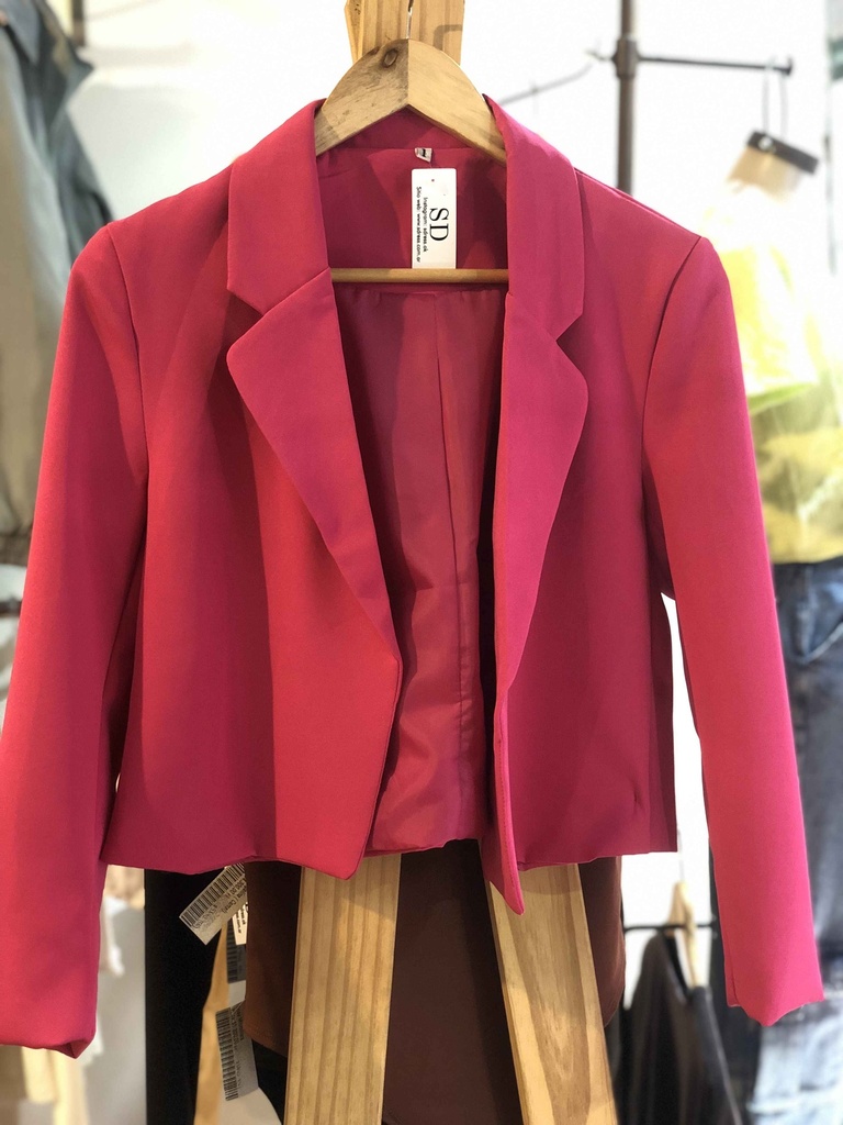 Blazer Olinda